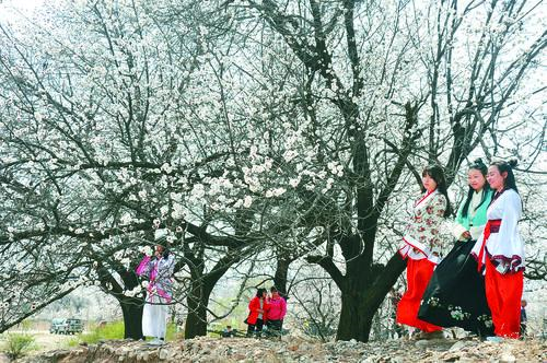 维多利亚老品牌vic3308 经典视觉